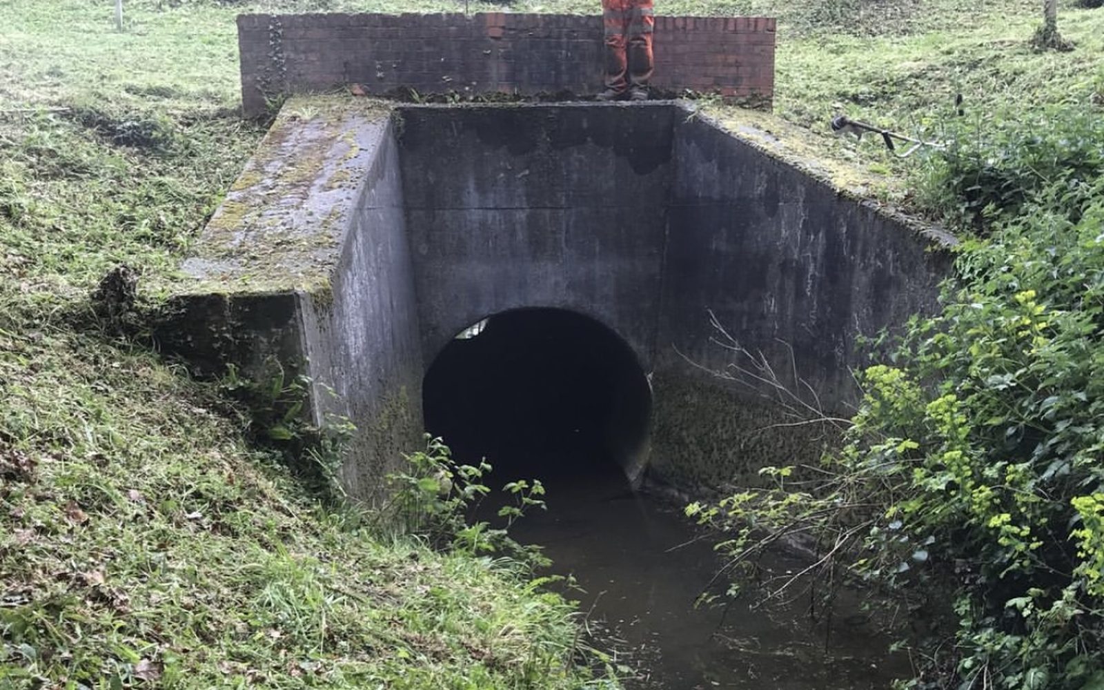 Environmental works